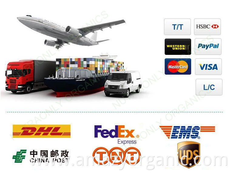 transport andpayment